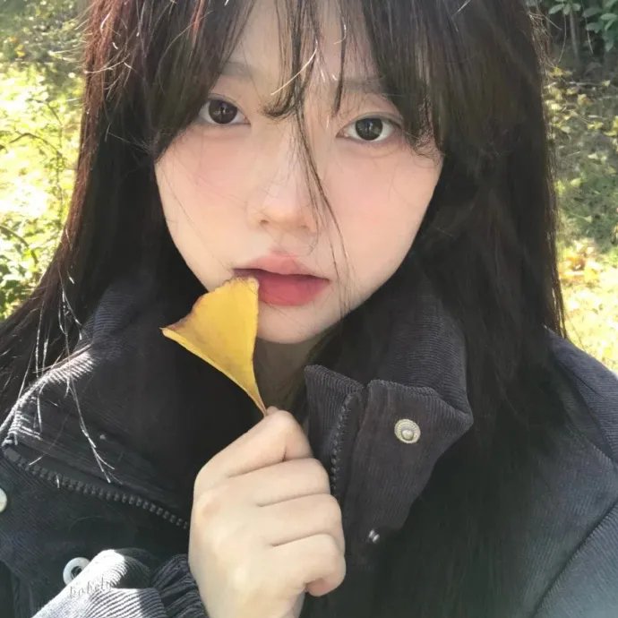 凯尔斯的秘密